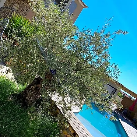 Le Pool House 3* Nîmes
