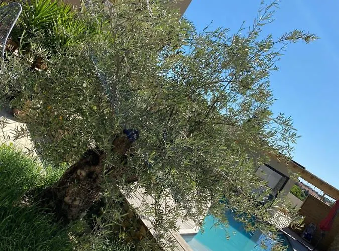 Le Pool House Nîmes