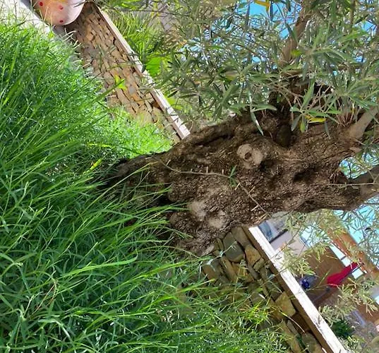 Le Pool House Panzió